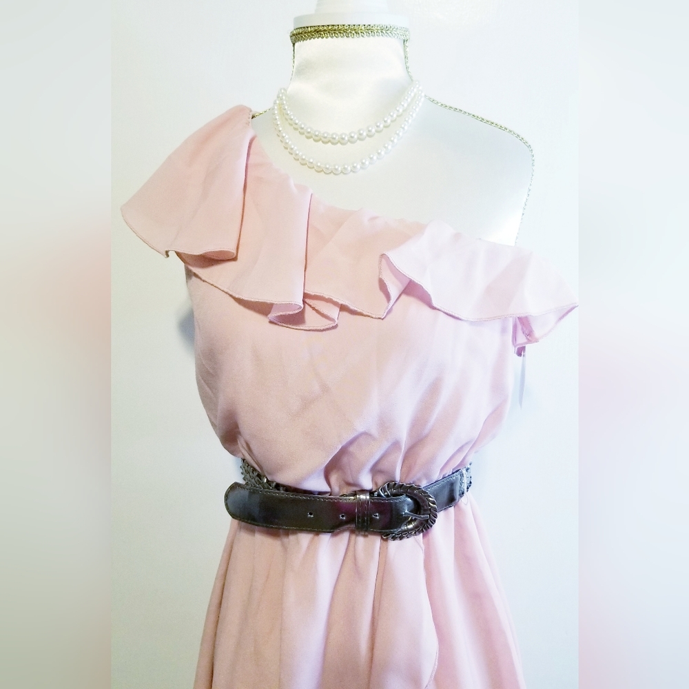 NWT Beta House Pink One Shoulder Ruffled Dress - Picture 3 of 13